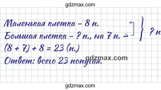 Решение - страница 65 номер 111, попугаи в клетках